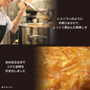 カレー レトルトカレー 中辛 牛肉 170g ...の詳細画像3