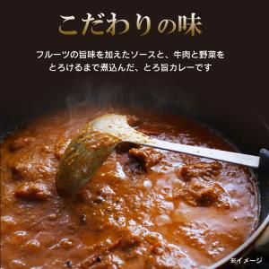 カレー レトルトカレー 中辛 牛肉 170g ...の詳細画像4