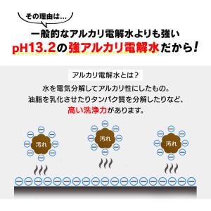 リンサークリーナー専用洗浄液 カーペットクリー...の詳細画像3