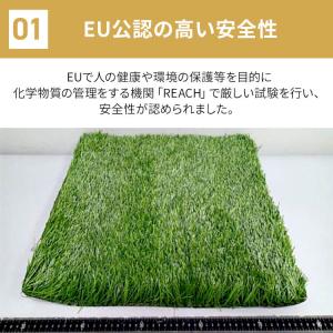 人工芝 芝生 リアル人工芝 ロール アイリスオ...の詳細画像4