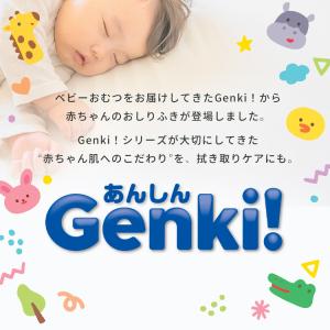 おしりふき 厚手 100枚入 おしり拭き ふた...の詳細画像1