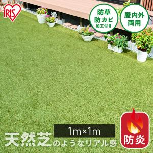 人工芝 1m×1m ロール アイリスオーヤマ 防炎 芝生 防草 防カビ加工付 庭 ベランダ DIY ペット 幼稚園 保育園 施設 防炎防草人工芝 BPB-3011 *
