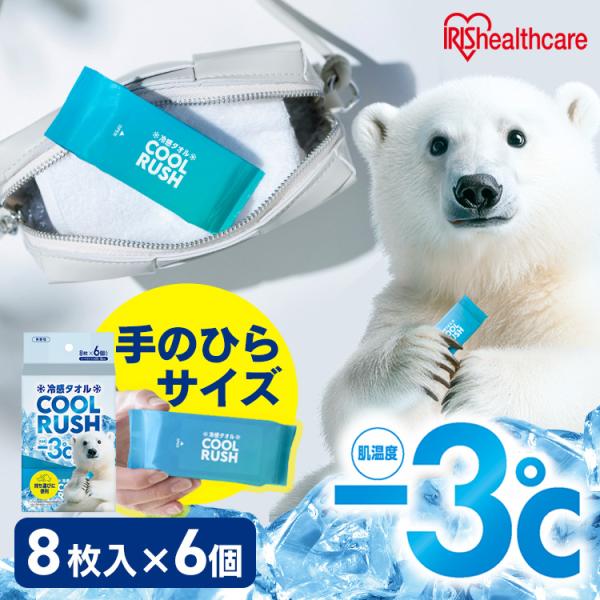 汗拭きシート 無香料 48枚 (8枚入×6個) 使い捨て ポケットタイプ コンパクト 持ち運び 体拭...