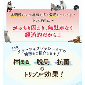 猫砂 鉱物系 飛び散り防止 猫 トイレ ネコ砂...の詳細画像1