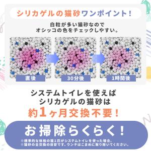 猫砂 シリカゲル ラクリーン 脱臭 消臭 アン...の詳細画像4