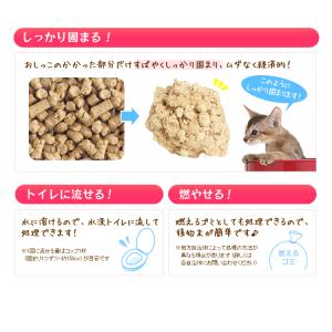 猫砂 ひのき 固まる 流せる トイレに流せる ...の詳細画像2