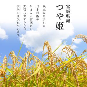 米 10kg 送料無 令和6年産 米10kg ...の詳細画像4