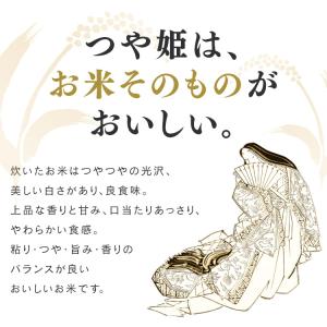 米 10kg 送料無 令和6年産 米10kg ...の詳細画像5