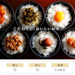 令和6年産 無洗米 8kg 送料無料 新潟県産...の詳細画像3