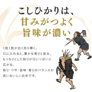 令和6年産 無洗米 8kg 送料無料 新潟県産...の詳細画像5