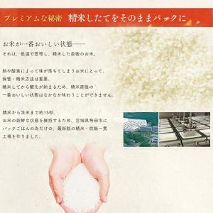 パックご飯 150g 24食 アイリスオーヤマ...の詳細画像3