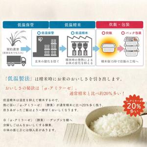 パックご飯 150g 24食 アイリスオーヤマ...の詳細画像4