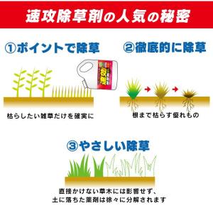 除草剤 ストレートタイプ 4L 4本セット 強...の詳細画像1