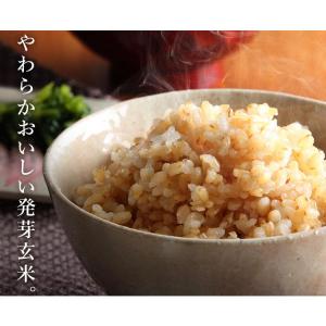 発芽玄米 無洗米 3kg 送料無料 宮城県産つ...の詳細画像2