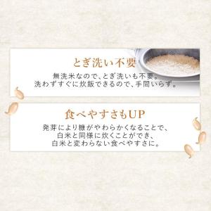 発芽玄米 無洗米 3kg 送料無料 宮城県産つ...の詳細画像3