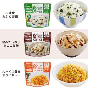非常食 アルファ米 15食 セット (5種×3...の詳細画像5
