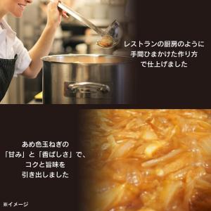 レトルトカレー 中辛 170g×40食 レンジ...の詳細画像3