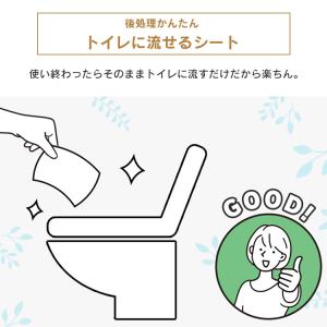 おしりふき 流せる お尻拭き 流せるおしりふき...の詳細画像2