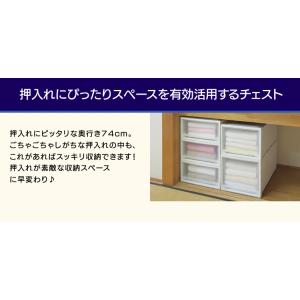 収納ボックス 衣装ケース 幅39 奥行74 浅...の詳細画像2