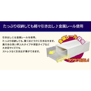 収納ボックス 衣装ケース 幅39 奥行74 浅...の詳細画像3