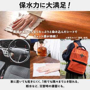 ウェットティッシュ アルコール ノンアルコール...の詳細画像4