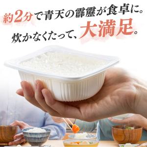 パックご飯 レトルトご飯 米 ごはん パック ...の詳細画像3