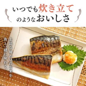 パックご飯 レトルトご飯 米 ごはん パック ...の詳細画像5