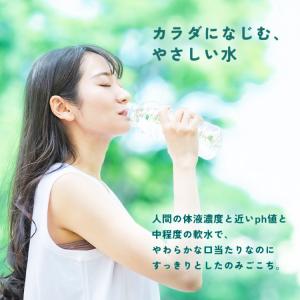 水 500ml 24本 天然水 ミネラルウォー...の詳細画像4