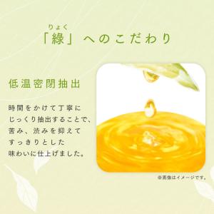 お茶 緑茶 ペットボトル 500ml 24本 ...の詳細画像4
