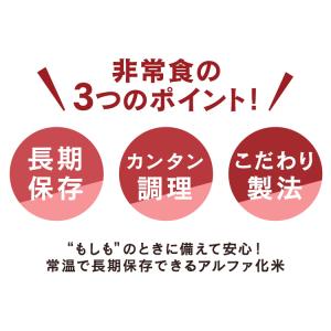 非常食セット 防災食 アルファ米 保存食 白米...の詳細画像4