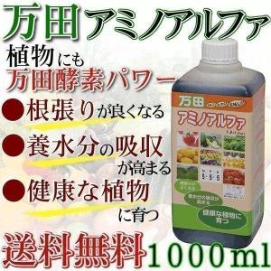 万田酵素 万田アミノアルファ 1L 1000m...の詳細画像3