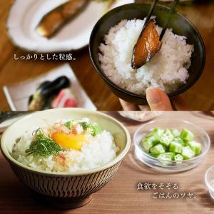 炊飯器 一升 10合 1升 一升炊き 圧力IH...の詳細画像3
