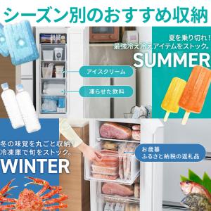 冷凍庫 セカンド冷凍庫 スキマックス アイリス...の詳細画像2
