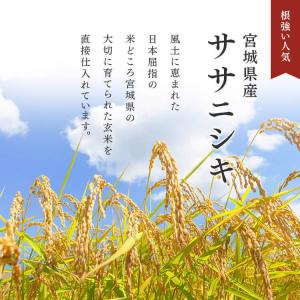 米 無洗米 5kg 送料無料 令和6年産 宮城...の詳細画像4