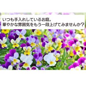 草刈機 草刈り機 刀 充電式 芝刈り機 ヘッジ...の詳細画像2