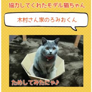 爪とぎ 猫 爪研ぎ おしゃれ 爪とぎ防止 爪と...の詳細画像3