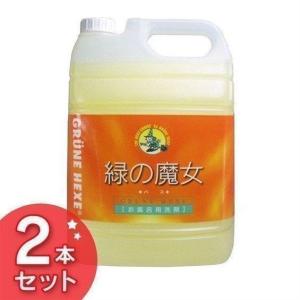 緑の魔女 バス業務用 5L 2本セット ミマスク...の商品画像