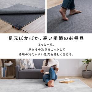 ホットカーペット 3畳 195×235 本体 ...の詳細画像4