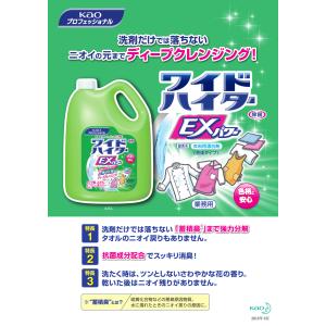 ワイドハイター 酸素系漂白剤 ワイドハイターe...の詳細画像2