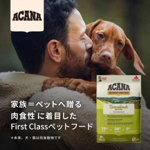 【アウトレット賞味期限印字不良】犬 フード 犬...の詳細画像1