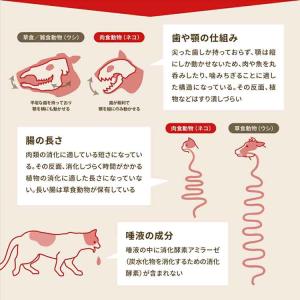 【アウトレット賞味期限印字不良】犬 フード 犬...の詳細画像5