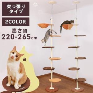 キャットタワー 木製 突っ張り 猫タワー スリム...の商品画像