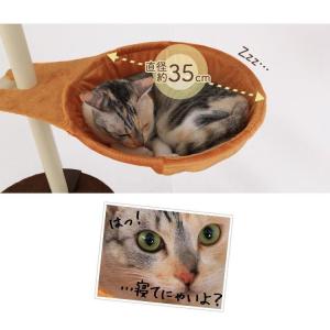 キャットタワー 木製 突っ張り 猫タワー スリ...の詳細画像3