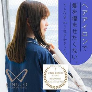 ストレートヘアアイロン 絹女 きぬじょ 海外旅行 ヘアアイロ...