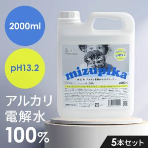 洗剤 アルカリ電解水 2L 水ピカ クリーナー 高濃度（pH13.1） 業務用