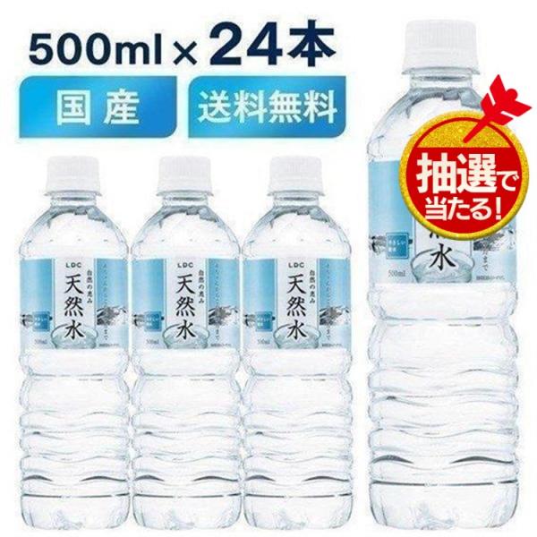 水 ミネラルウォーター 500ml 24本 セット LDC 自然の恵み天然水 500ml ライフドリ...