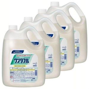 洗濯洗剤 洗剤 5L シャボン玉石鹸 2個セット シャボン玉 スノール 液体