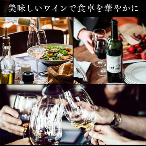 ワインセラー 32本 ペルチェ式 家庭用 スリ...の詳細画像3