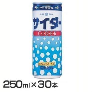 神戸居留地 サイダー 缶 250ml 富永貿易