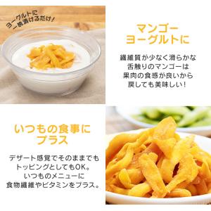 ドライフルーツ マンゴー ドライマンゴー 1k...の詳細画像5